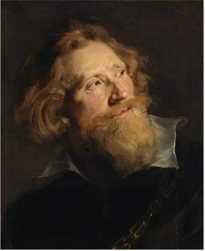 Mandhoved med skæg - Peter Paul Rubens