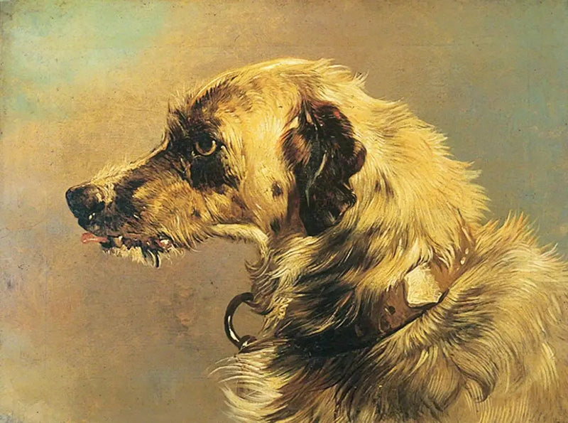 Hoved af en jagthund - Edwin Henry Landseer