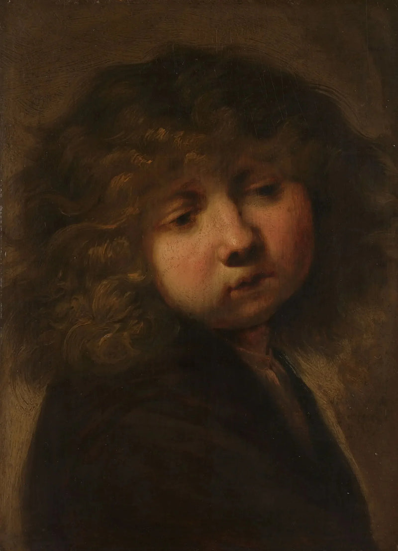 Drengens hoved - Rembrandt