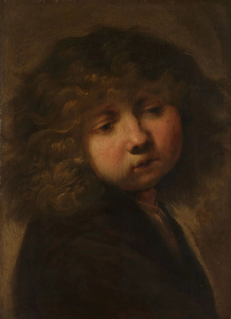 Drengens hoved - Rembrandt