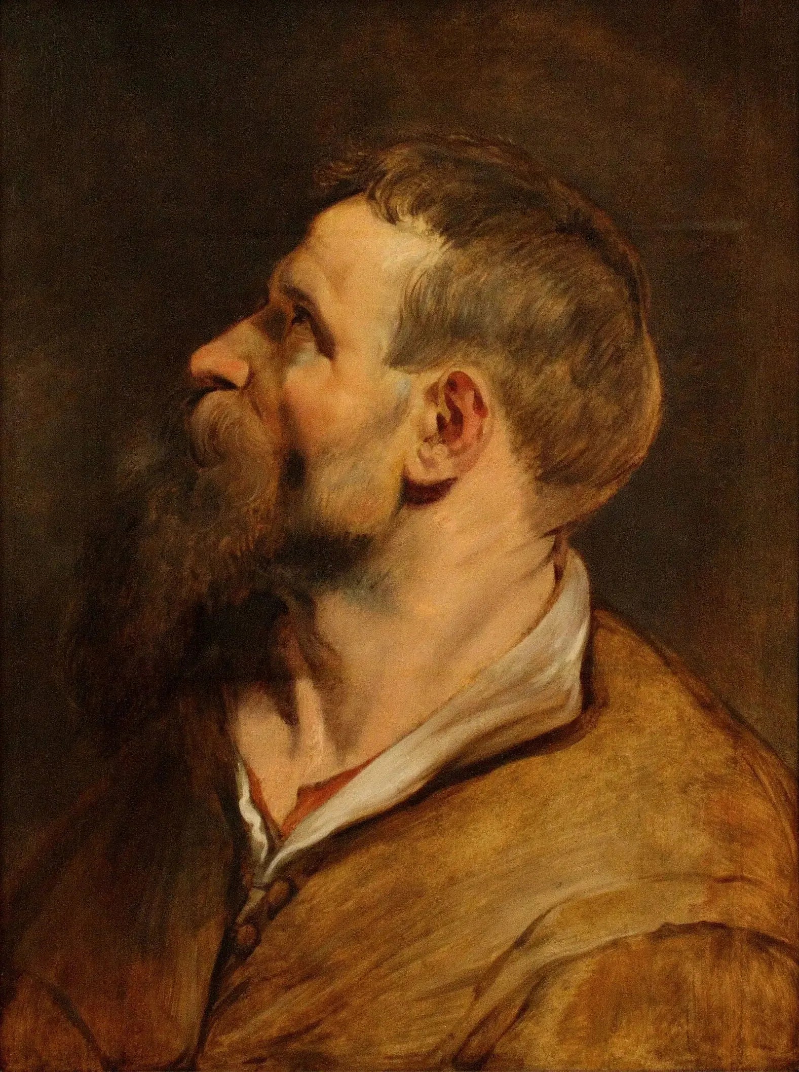Tête d'un homme barbu regardant vers la gauche - Peter Paul Rubens image 1 reproduction artisanale de tableau