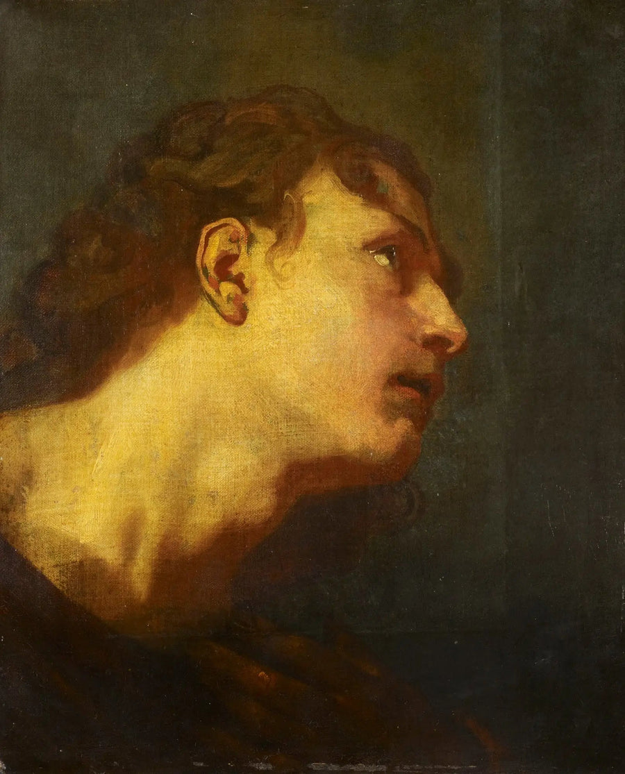 Hoved af en ung mand - Antoine van Dyck