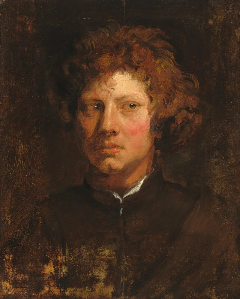 Tête d'un jeune homme - Antoine van Dyck