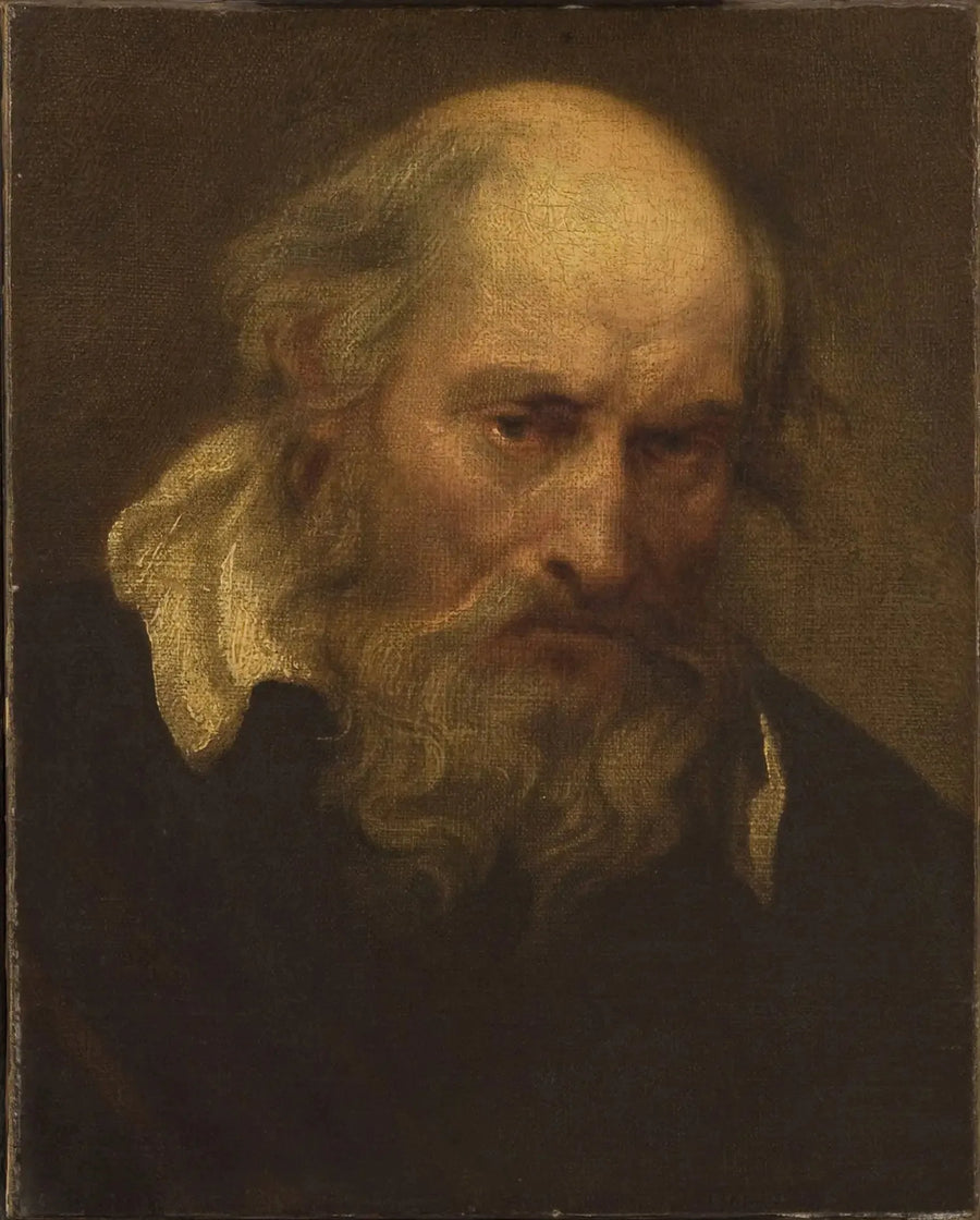 Ældre mands hoved - Antoine van Dyck
