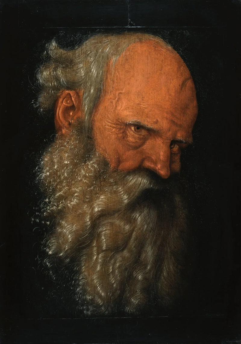 En gammel skægget mands hoved - Hans Baldung Grien