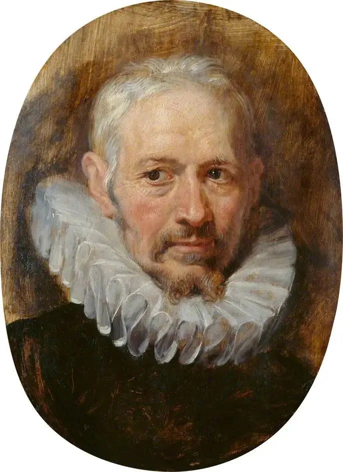 Ældgammel mands hoved - Peter Paul Rubens