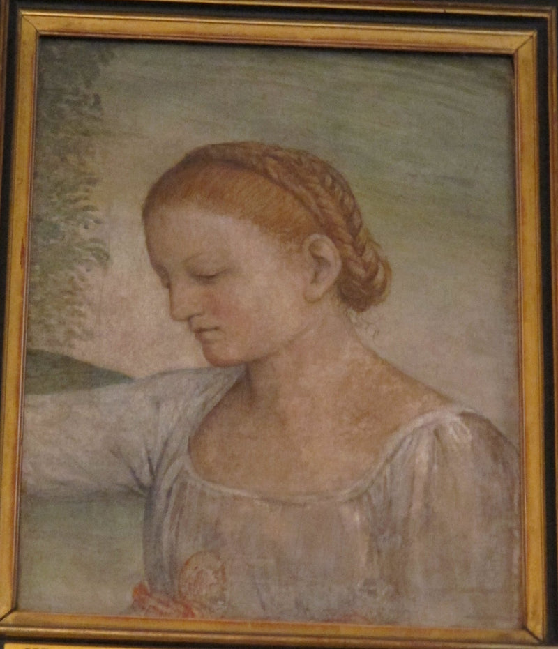 En piges hoved - Bernardino Luini