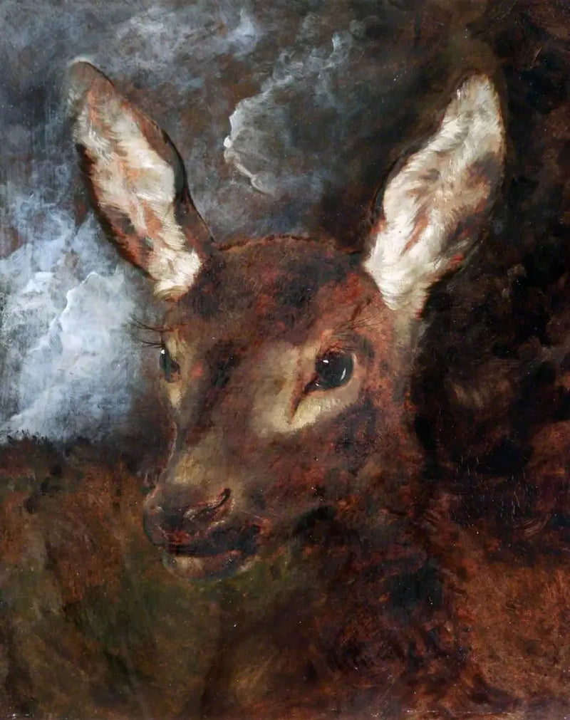 Hjortehoved - Edwin Henry Landseer