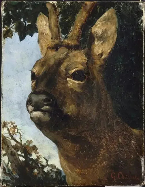 Hjortehoved - Gustave Courbet