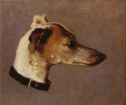 Hoved af en Greyhound - Claude Monet