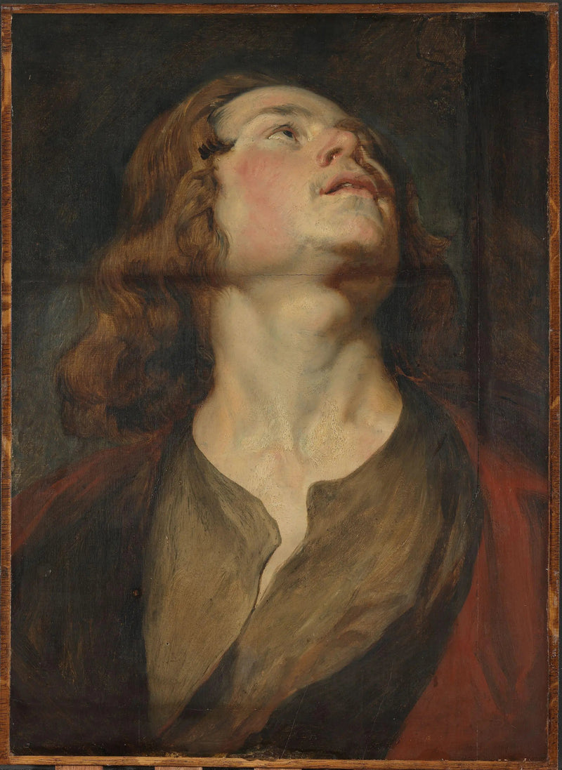 Hoved af Sankt Johannes - Antoine van Dyck