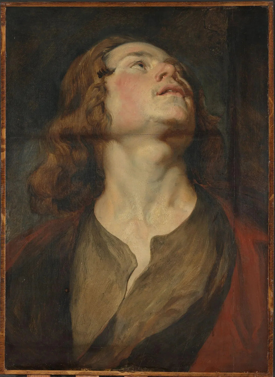 Hoved af Sankt Johannes - Antoine van Dyck