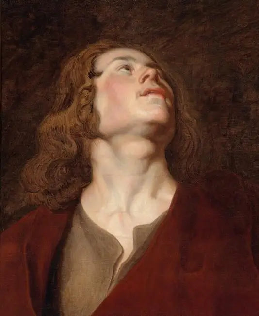 Hoved af Sankt Johannes - Peter Paul Rubens