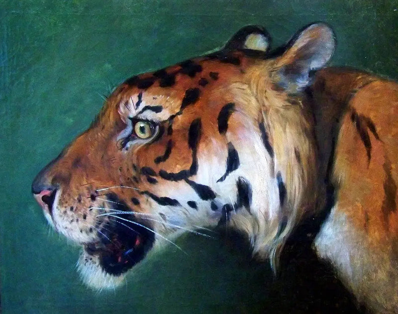 Tigerhoved - Eugène Delacroix