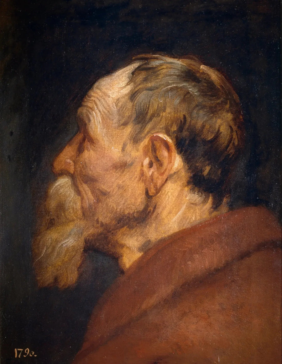 Ældgammel mandhoved - Antoine van Dyck