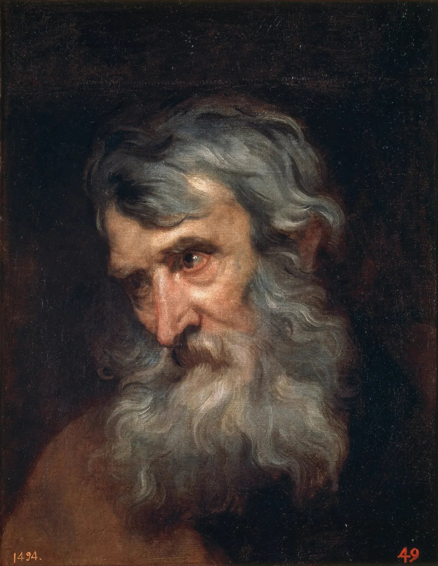Ældgammel mandhoved - Antoine van Dyck