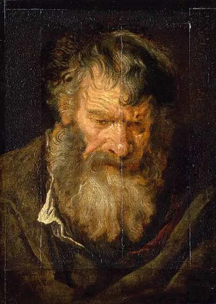 Ældres hoved - Antoine van Dyck