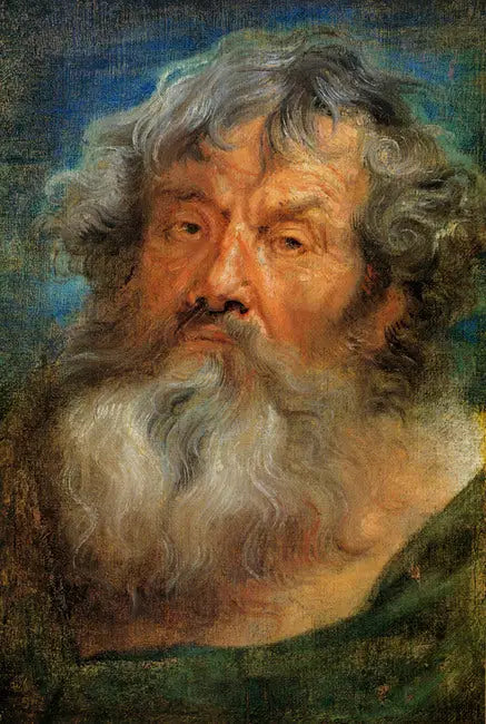 Ældres hoved - Antoine van Dyck