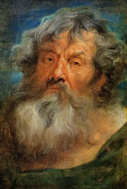 Ældres hoved - Antoine van Dyck