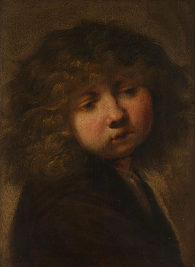 Drengens hoved - Rembrandt