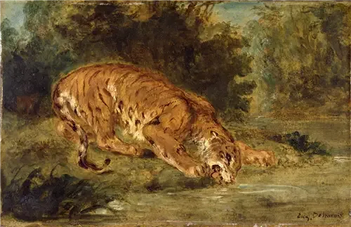 Tiger der drikker - Eugène Delacroix