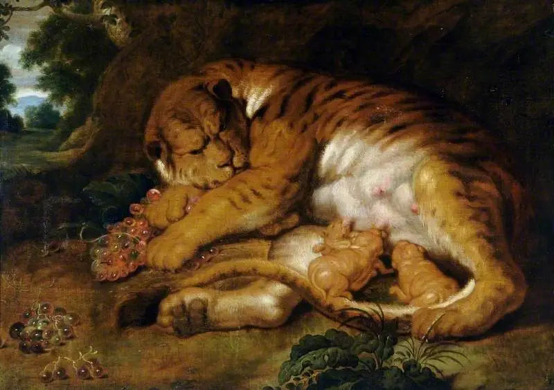Tigress med sine unger - Peter Paul Rubens