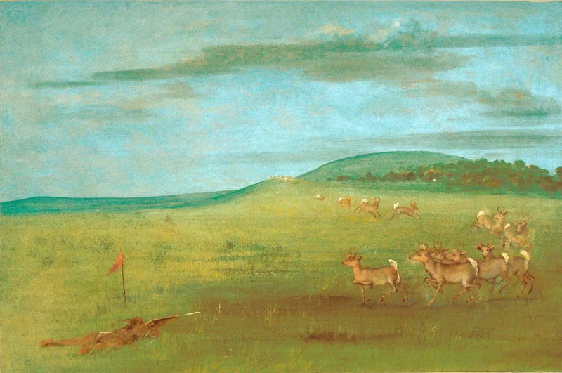 Skud mod en antilope tiltrukket - George Catlin