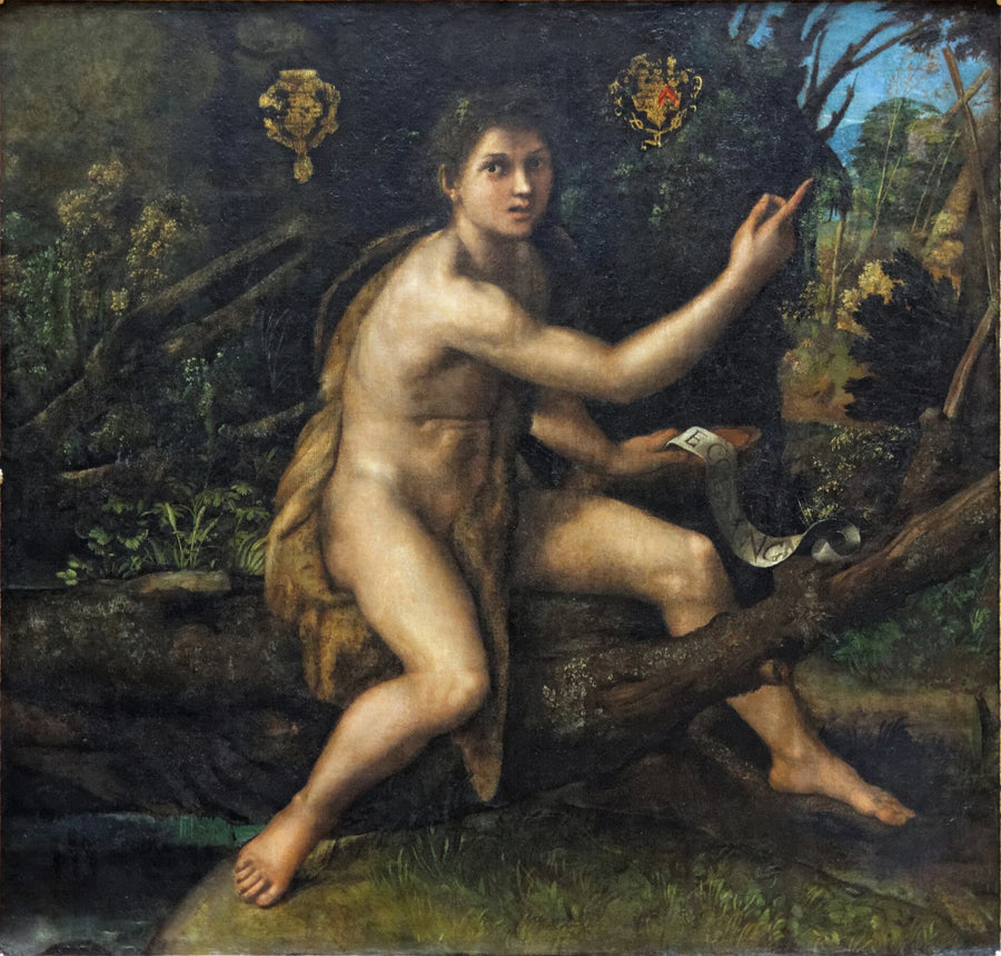 Sankt Johannes Døberen i ørkenen - Raphael Sanzio