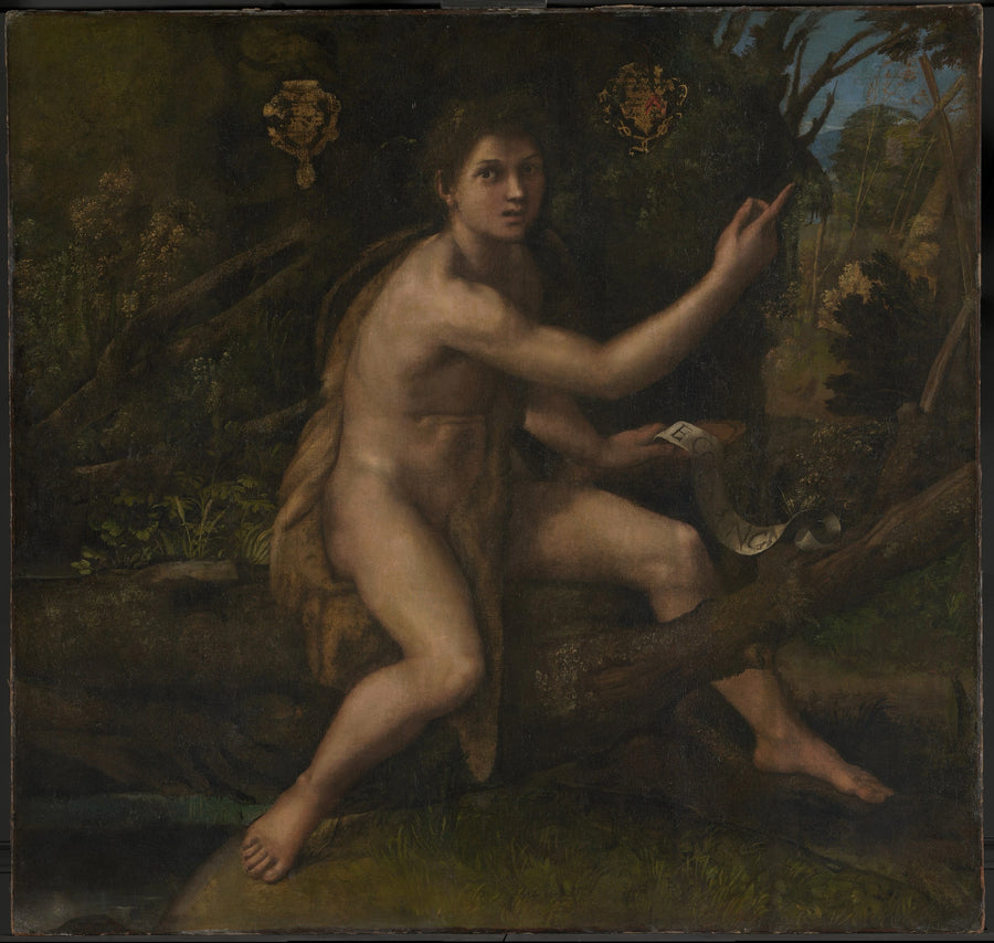 Sankt Johannes Døberen i ørkenen, der peger på Korset for Passionen - Raphael Sanzio