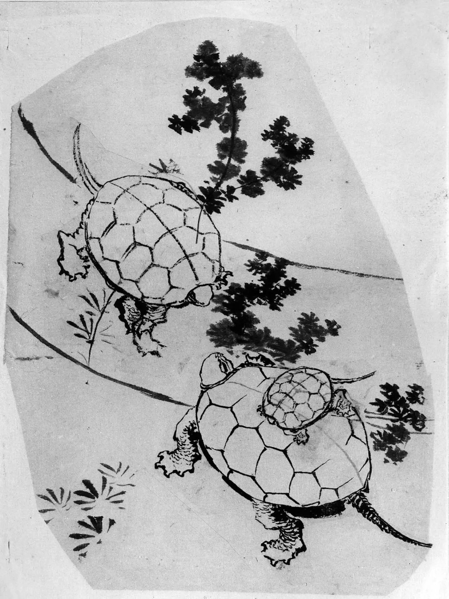 Tortues - Hokusai - Alpha Reproduction