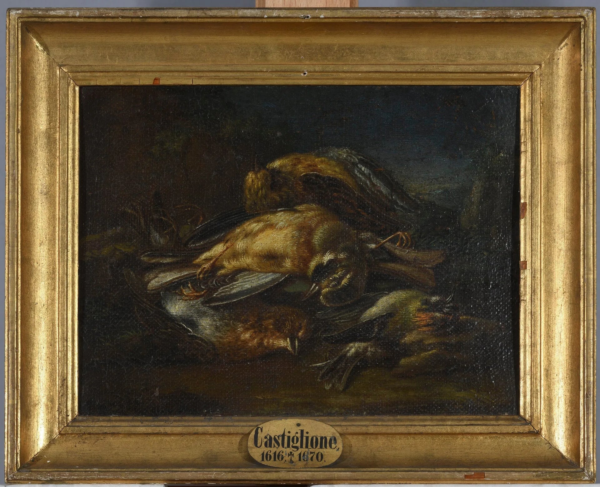 Tote Vögel - Giovanni Benedetto Castiglione image 1 copie peinte à la main à l’huile