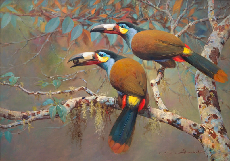 Bjerntukan | 60 x 90 cm