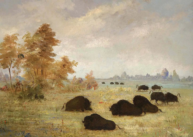 Bisonjagt, Arkansas - George Catlin
