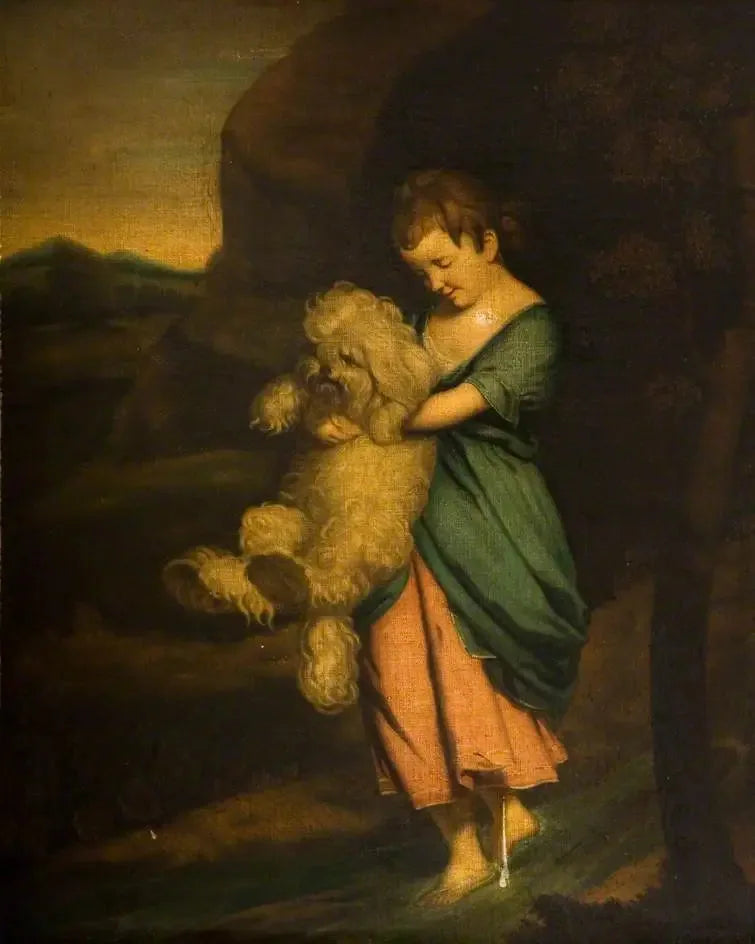 Overgang af bækken - Joshua Reynolds