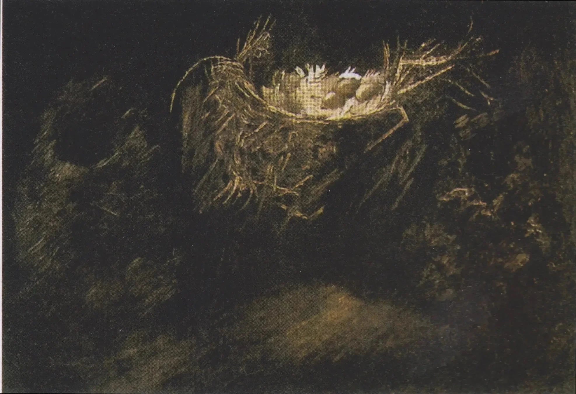 Nature morte aux trois nids d’oiseaux F108 — trois nids isolés sur un fond noir par Vincent van Gogh