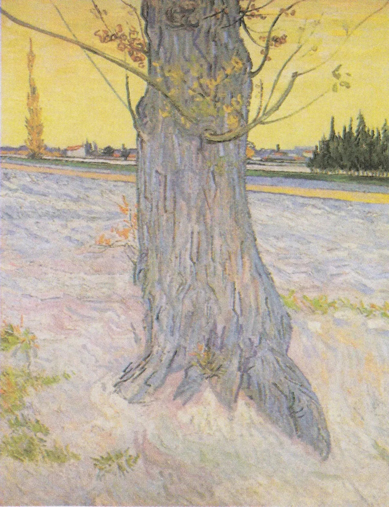 Stamme af en gammel enebær - Vincent van Gogh