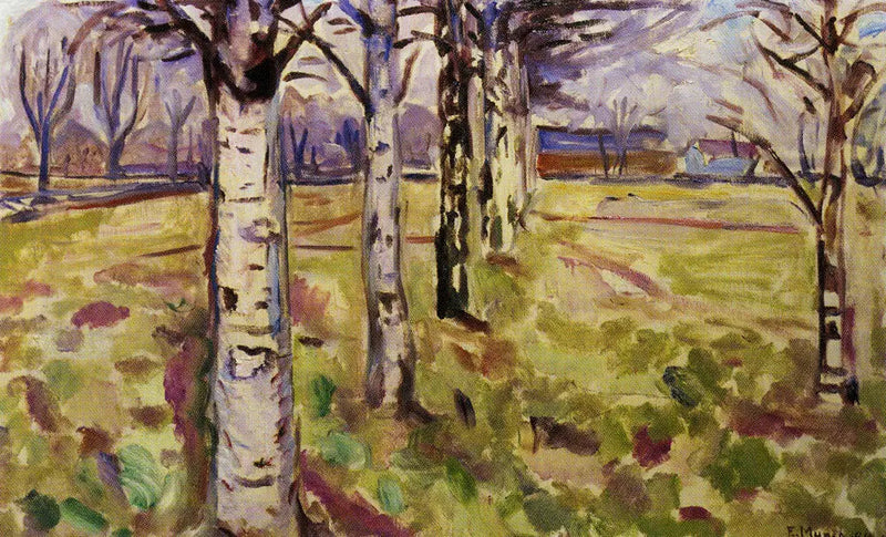 Birketræstubbe - Edvard Munch