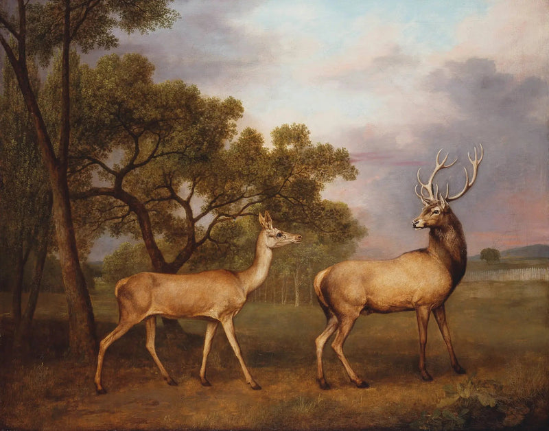 En hjortekalv og en hjortinde - George Stubbs