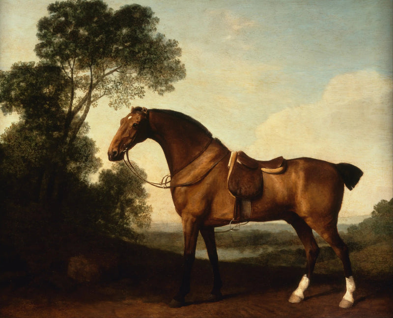 En sælskydende jæger - George Stubbs