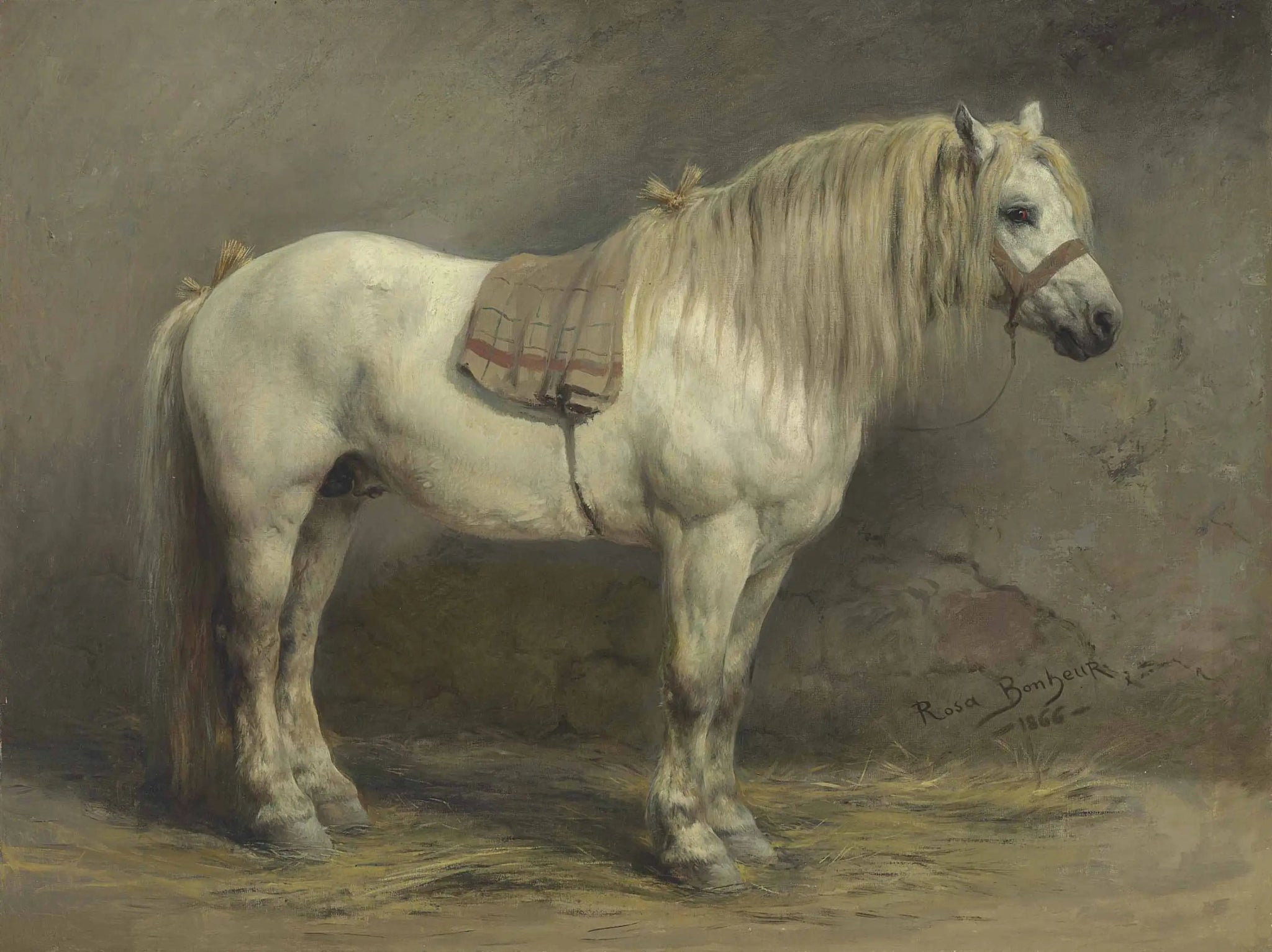 Un cheval blanc - Rosa Bonheur image 1 reproduction réalisée par Alpha Reproduction