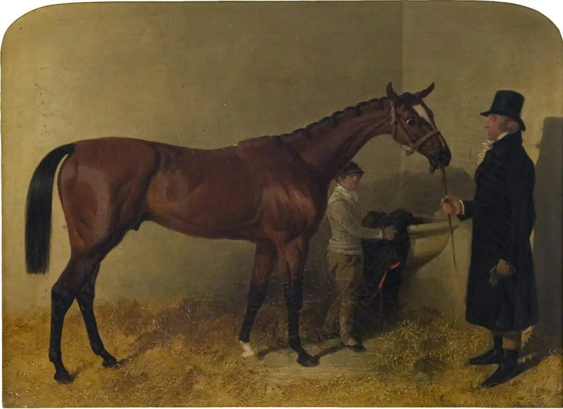 En brunt travhest i en boks - John Frederick Herring, Sr.