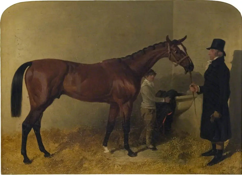 En brunt travhest i en boks - John Frederick Herring, Sr.