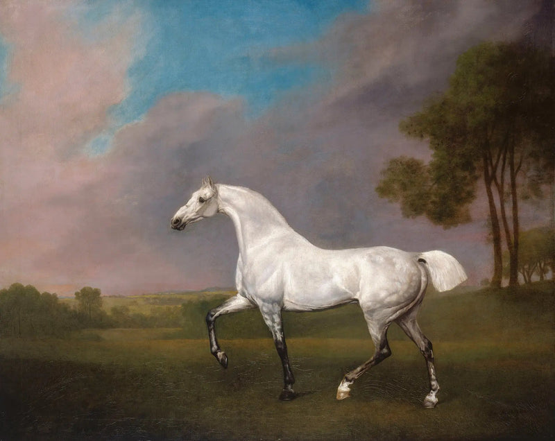 En grå hest - George Stubbs