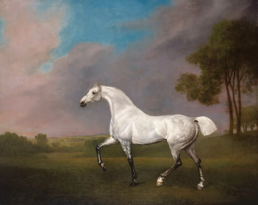 En grå hest - George Stubbs