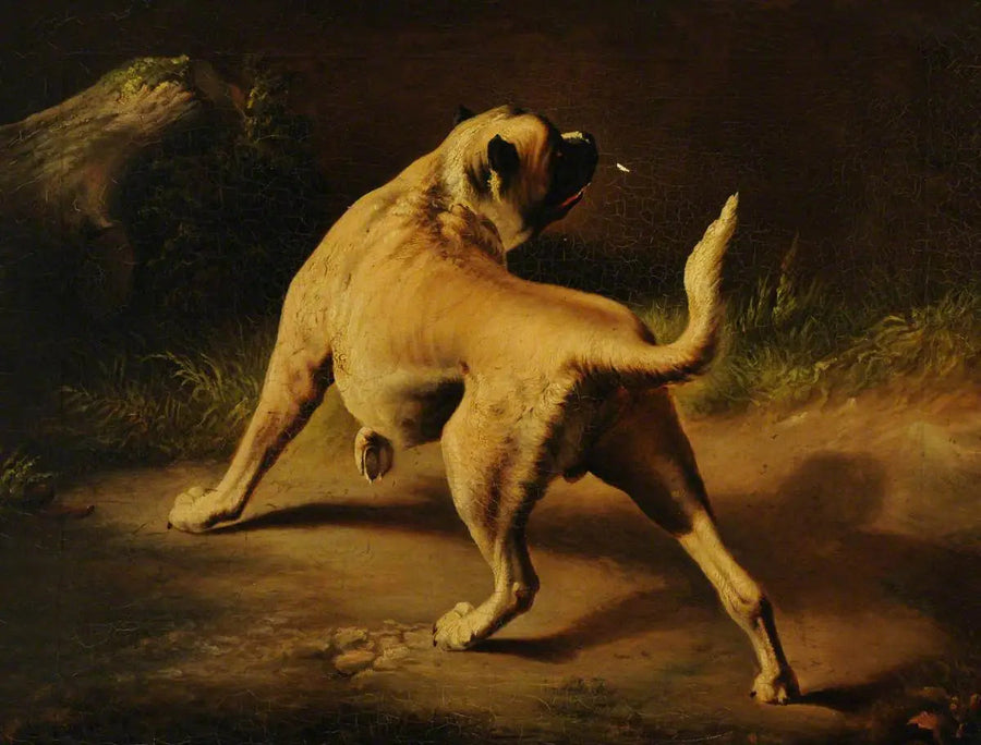 En hund på vagt - Edwin Henry Landseer