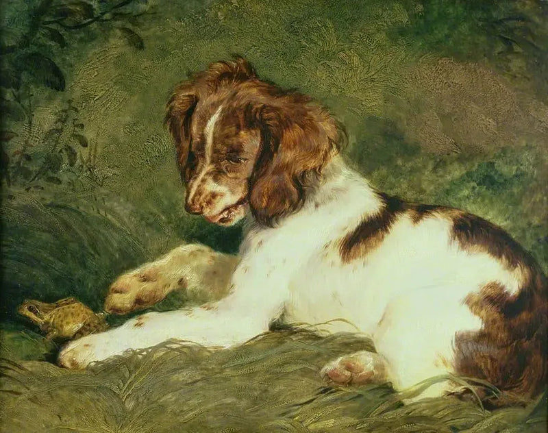 En hvalp driller en frø - Edwin Henry Landseer