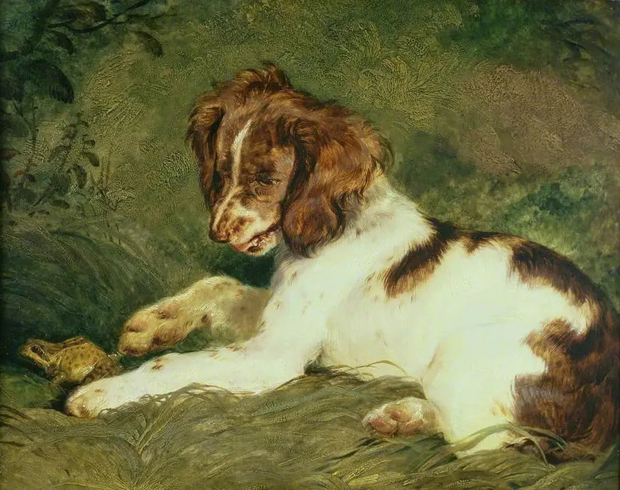 En hvalp driller en frø - Edwin Henry Landseer