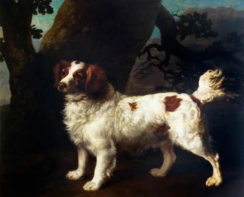 En Clumber Spaniel - George Stubbs