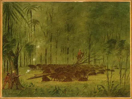 En kamp med pécaris - Caraïbes - George Catlin
