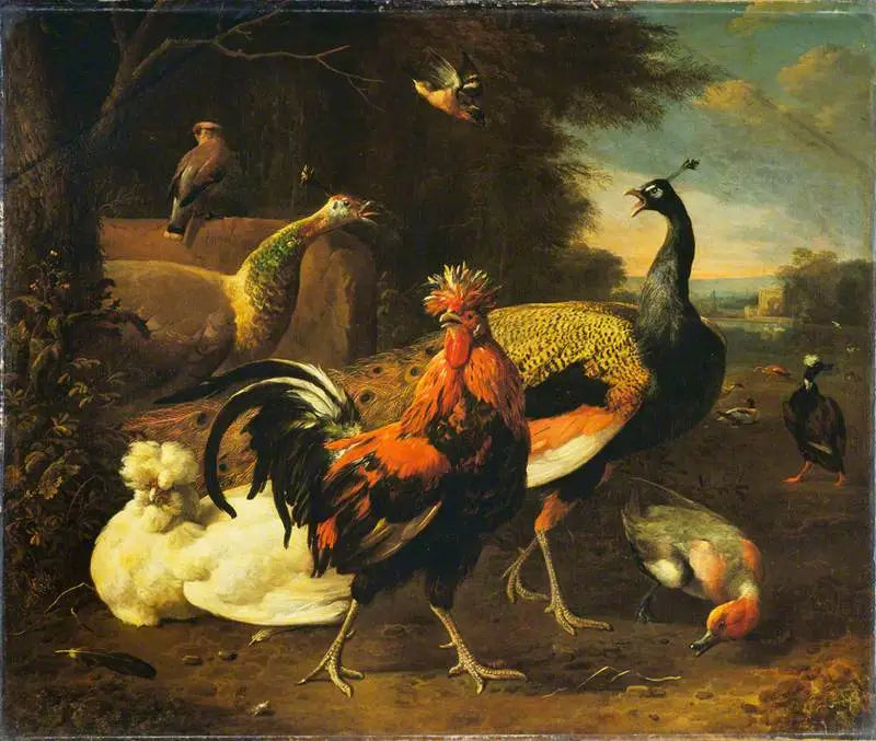 En høne med andre fugle - Melchior de Hondecoeter